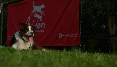 Sponzorujeme / WEBER-MLÝN - prodejce krmiva ACANA a ORIJEN