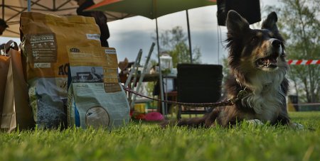 Sponzorujeme / WEBER-MLÝN - prodejce krmiva ACANA a ORIJEN