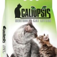 Bentonitové stelivo pro kočky CALIOPSIS VŮNĚ LESA